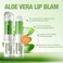 Jolilab 4 Pcs Aloe Vera Lip Balm Lip Gloss, Long Lasting Hydrating Lip Care Nutritious Lip Oil Plumper Lip Balm Moisturizer Lip Gloss Lip Makeup Set for Gilrs and Women（4Pcs）