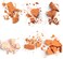 Biss&uacute; Contouring Powder Palette (6 colors) (03 Bronzed to Dark)