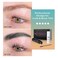 Eyelash Black Color Kit, PERMANIA Training Kit Black for Eyebrow &amp; Lash Hair Color Developer 15ml（Black）