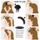 10 Pieces Hair Volume Increase Puff Sponge Bump It Up Hair Accessories Set for DIY Women Girls Updo Hair Styling Tools