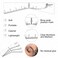 Eyebrow Easy Mapping Shaping Stencil Microblading Measure Tool Brow Shape Design Positioning Stickers Brow Border Position Template (A Pack of 5PCS)