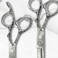 Saki Shears 6 Inch Set of Hair Cutting and Thinning Scissors With Flower Design on Handle and Finger Holes - 440C Stainless Steel - Professional Hair Cutting Set (Silver)