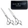 Professional Hair Cutting Scissors Shears Kit, 6.5" Japanese Stainless 440 Steel, 46 Teeth Blending Shears, Barber Hairdressing Salon, Razor Sharp Convex Edges