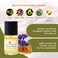 Bee Naturals Nail &amp; Cuticle Oil Kit &ndash; Nourishing Nail Strengthener with Vitamin E, Olive &amp; Avocado Oils &ndash; Lavender Lemon &amp; Tea Tree Aromatherapy &ndash; Easy Pen Applicator for Healthy, Revitalized Nails