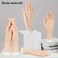 Manicure Practice Hands &amp; Fingers Nail Hand Practice Model Flexible Movable Soft Plastic Hand for Fake Nail Art Starter Training (right)