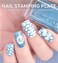 KADS Nail Stamping Template Sunflower Nail Stencil Nail Stamp Decoration Plate DIY Tool (Flower 066)