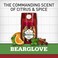 Old Spice Bearglove, 16 oz
