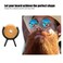 Handlebar Mustache Training Wheels Portable Shaping Tool For Men Salon Mustache Styling Template for Beard Shaping Seals Tool