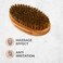 GUARD&amp;MARINE Beard and Mustache Brush: Compact Boar Bristle Grooming Tool with Wooden Handle for Facial Hair (brown)