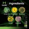 Premium Hemp Spray   Maximum Strength 10,000mg Hemp Oil Infused   Better Than Hemp Cream   GMO Free   Hemp Seeds Oil, Calendula, Lavender &amp; Arnica   Organic &amp; Vegan Relife - 4.1 Oz