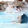 Japanese Hot Spring Bath Salt Oku-Hidaka Onsen Minerals Bath Flakes All Natural 250g