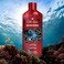 Old Spice Krakengard 2in1 Shampoo and Conditioner for Men, 13.5 fl oz (Pack of 6)