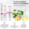 Fat Burning Cream for Belly - Slimming Cream for Abdomen, Belly and Waist, Hot Cream for Weight Loss - Mango Body Cream, Firming Cream, Skin Tightening Cream, Natural Ingredients (1 PCS)