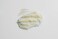 TALLOW FACE&trade; face cream