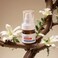 Black Spot Removing Facial and Body Essence: Senile Spot, Sunburn, Freckle, Chloasma - Advanced Male and Female Formula Containing Nicotinamide (1)