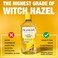 Dickinson's Original Witch Hazel Pore Perfecting Toner, 100% Natural, 8 Fl Oz (Pack of 6)
