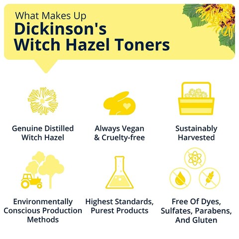 Dickinson&#39;s Enhanced Witch Hazel Hydrating Toner with Rosewater, Alcohol Free, 98% Natural Formula, 16 Fl Oz (Pack of 2)