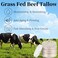 Grass Fed Beef Tallow - Tallow and Honey Balm - Moisturizing Beef Tallow for Skin - Tallow Face Moisturizer - Firming Body Butter for Women - Beef Tallow for Face - Beef Tallow Moisturizer