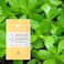 Leaders Insolution Illuminating Skin Clinic Mask   Omega-3 &amp; Purslane Extract for Radiant Glow   Niacinamide Brightening Treatment   Even Skin Tone   100% Natural Cotton (10 Sheets)