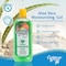 Caribbean Breeze Aloe Moisturizing Gel, Citrus Mango Aloe Vera Gel for Skin, Pure Aloe Vera Gel 100% Vitamin Enriched with Green Tea &amp; Pomegranate, 8.5 oz (250 ml)