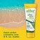 Alba Botanica Aloe Vera Lotion for Skin, Soothing After Sun Treatment for Face and Body, Made with Purity Certified 80% Aloe Vera Gel Formula, 8 fl. oz. Tube (Pack of 2)