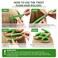 Syhood 30 Pcs Flexible Curling Rods 9.45 Twist Foam Rollers Soft Foam No Heat Hair Rods Rollers and 1 Steel Pintail Comb Rat Tail Comb for Women Long Short Hair(Green,9.45 x 0.79 Inch)