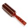 Semme Hair Brush Round Hair Styling Comb Curly Hair Rollers Brush for Blow Drying, Salon &amp; Home Use