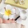 20Pcs 3.3 Inch Large White Foam Hawaiian Frangipani Artificial Plumeria Flower Hat Hair Clips for Home Bridal Wedding Tropical Party Beach Vacation Decoration