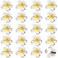 20Pcs 3.3 Inch Large White Foam Hawaiian Frangipani Artificial Plumeria Flower Hat Hair Clips for Home Bridal Wedding Tropical Party Beach Vacation Decoration