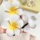 60Pcs Mixed Sizes 5cm 6cm 7cm White Foam Hawaiian Frangipani Artificial Plumeria Flower Hat Hair Clips for Home Bridal Wedding Tropical Party Beach Vacation Decoration