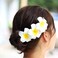 60Pcs Mixed Sizes 5cm 6cm 7cm White Foam Hawaiian Frangipani Artificial Plumeria Flower Hat Hair Clips for Home Bridal Wedding Tropical Party Beach Vacation Decoration