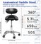 Ergonomic Adjustable Saddle Stool with Back Support, Swivel Rolling Base, Black