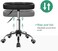 FURWOO Oval Rolling Stool Height Adjustable Massage Chair with Wheels for Spa Salon Black