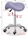 Kaleurrier Saddle Stool Rolling Swivel Height Adjustable with Wheels,Heavy Duty Stool,Ergonomic Stool Chair for Lab,Clinic,Dentist,Salon,Massage,Office and Home Kitchen (Purple, Without Back)