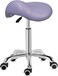 Kaleurrier Saddle Stool Rolling Swivel Height Adjustable with Wheels,Heavy Duty Stool,Ergonomic Stool Chair for Lab,Clinic,Dentist,Salon,Massage,Office and Home Kitchen (Purple, Without Back)
