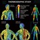 Hot Cream 10 PCS Slim Portable Workout Enhancer Sweat Firming Body Fat Burning Massage Gel Weight Losing for Women Men Loss Treatment Shaping Waist Abdomen Buttocks