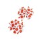Basketball Hair Bow Clip Kids Girls Sport Bow Hairpin Baby Basketball Hair Clips Pin BBG64 (White Bow)