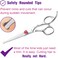 6" Kids Hair Cutting Scissors Shears Safety Rounded Tips Kids Haircut Scissors for Children Baby Toddler Girls Boys Japanese Stainless Steel Silver Gift Dragon Creek