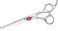 6" Kids Hair Cutting Scissors Shears Safety Rounded Tips Kids Haircut Scissors for Children Baby Toddler Girls Boys Japanese Stainless Steel Silver Gift Dragon Creek