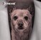 Xtreme Ink Black Magic Tattoo Ink, Experience the Enchantment of Premium Black Pigment, Smooth Application, True Colors, and Uncompromised Safety - Elevate Your Artistry with Xtreme Tattoo Inks (1 oz)