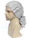 Men or Women Colonial Historical Judge Costumes Wig White Halloween Party Wigs (Gray)