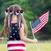 Patriotic Hair Bows with Long Ribbon Tails for Teen Toddler Girls Red White Blue Alligator Clips Cheer Barrettes Grips Women July Fourth outfit Accessories Kids Back School Gift