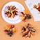 Thanksgiving Korker Hair Bow Clips Toddler Girls Cute Turkey Alligator Barrettes Cheer Pin Fall Curly Corker Ribbon Spiral Swirl Festival Decor Accessories Kids Give Thanks Gift