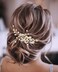 Catery Pearl Wedding Headband Gold Bridal Leaf Hair Piece Rhinestones Flower Hair Accessories for Women and Brides(Gold)