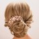 Aimimier Luxury Crystal Inlaid Flower Hair Side Combs Decorative Rhinestone Headpieces Wedding Hair Accessories for Women(Champagne)