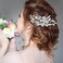 inSowni 17 Pieces Silver Metal Crystal Rhinestone Pearl Bridal Wedding Hair Side Combs Slides+U-shaped Flower Hair Pins+Pearl Twist Spiral Pearl Hairpins for Brides Bridesmaids Women Girls