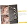 Starfish Headpiece - Wedding Hair Accessory with Pearls for Brides, Nautical Alloy Hair Decor for Women