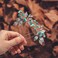 Earent Rhinestone Bride Wedding Hair Pins Turquoise Leaf Hair Piece Teal Crystal bridal Hair Accessories for Women (Pack of 2)