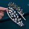 JHOO Bride Headpieces for Wedding Diamond Wedding Headband Silver Rhinestone Leaf Shape Hair Accessory(silver)