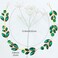 Aswewamt Green Crystal Rhinestone Hair Vine Headband, Gold, Women's Wedding Hair Accessories for Bride, Party, Prom, Gift, 1 Count
